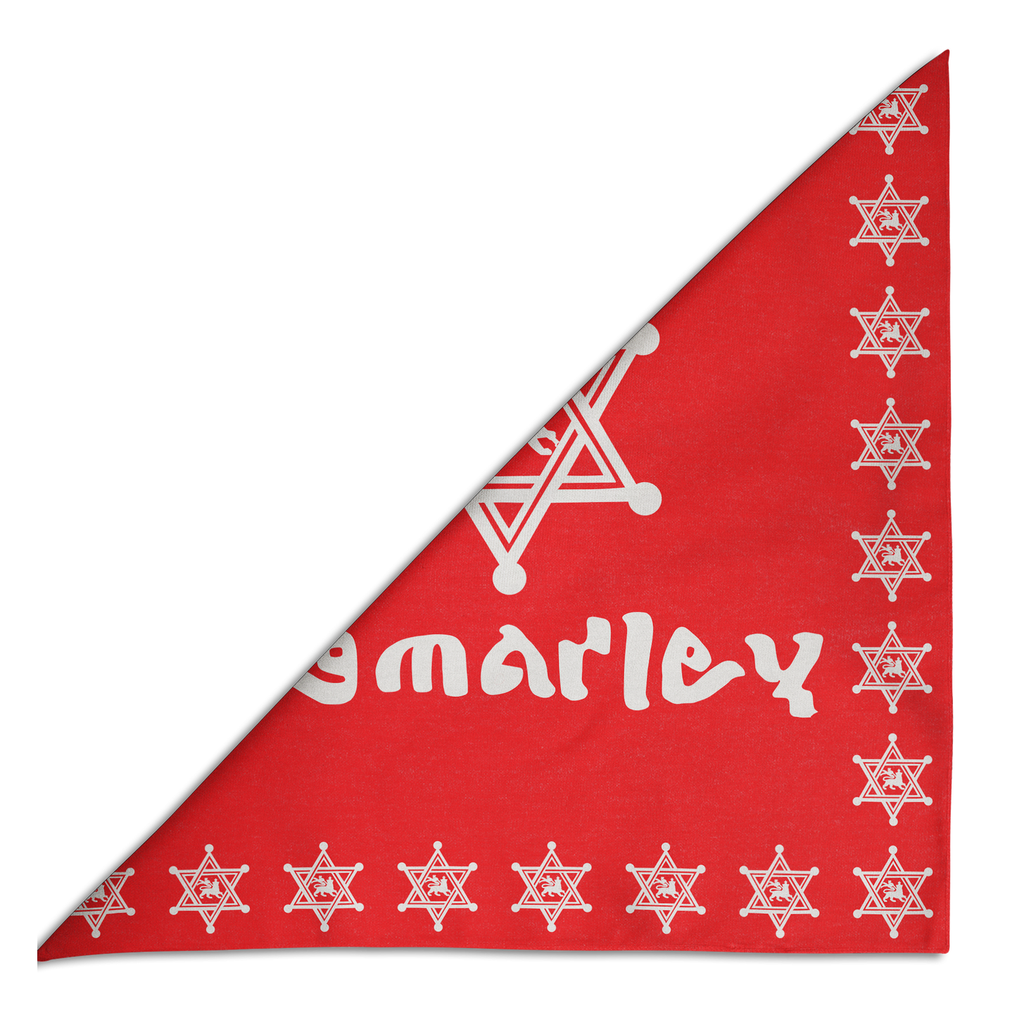IN THE DESERT-RED STAR BANDANA