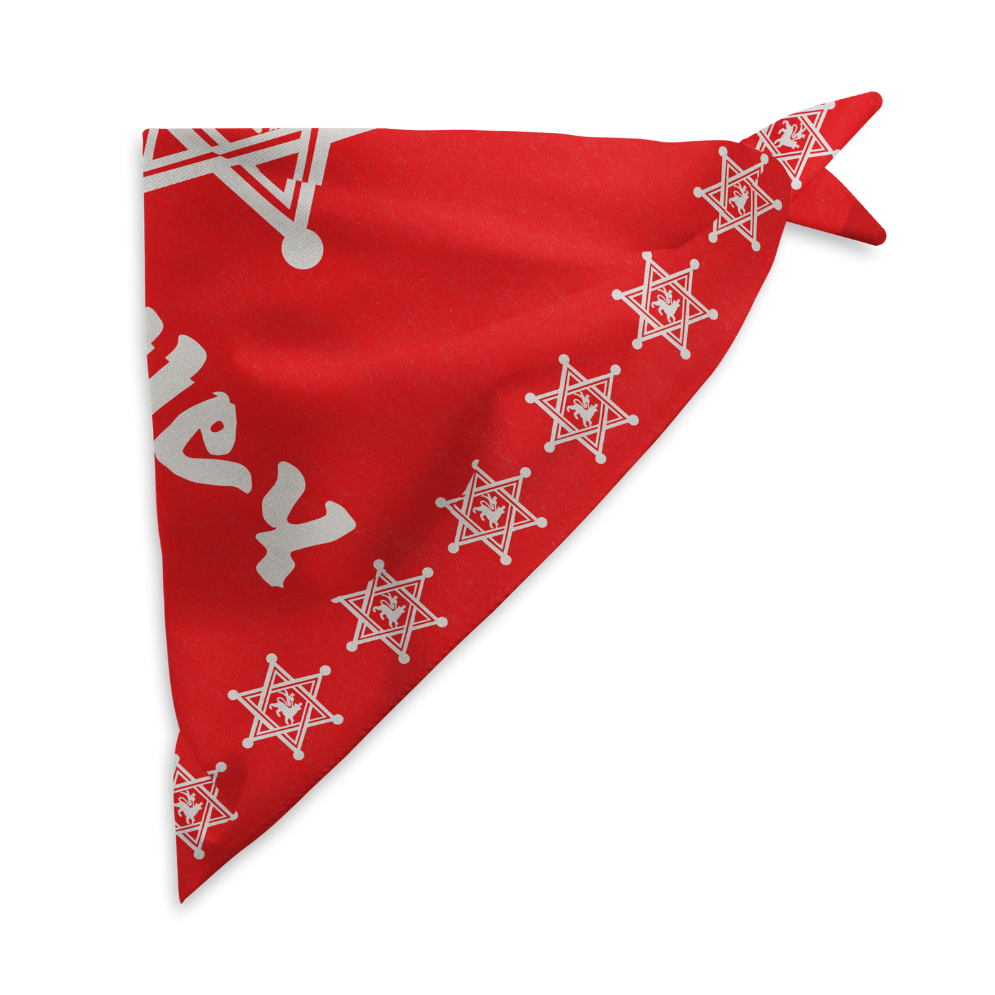 IN THE DESERT-RED STAR BANDANA
