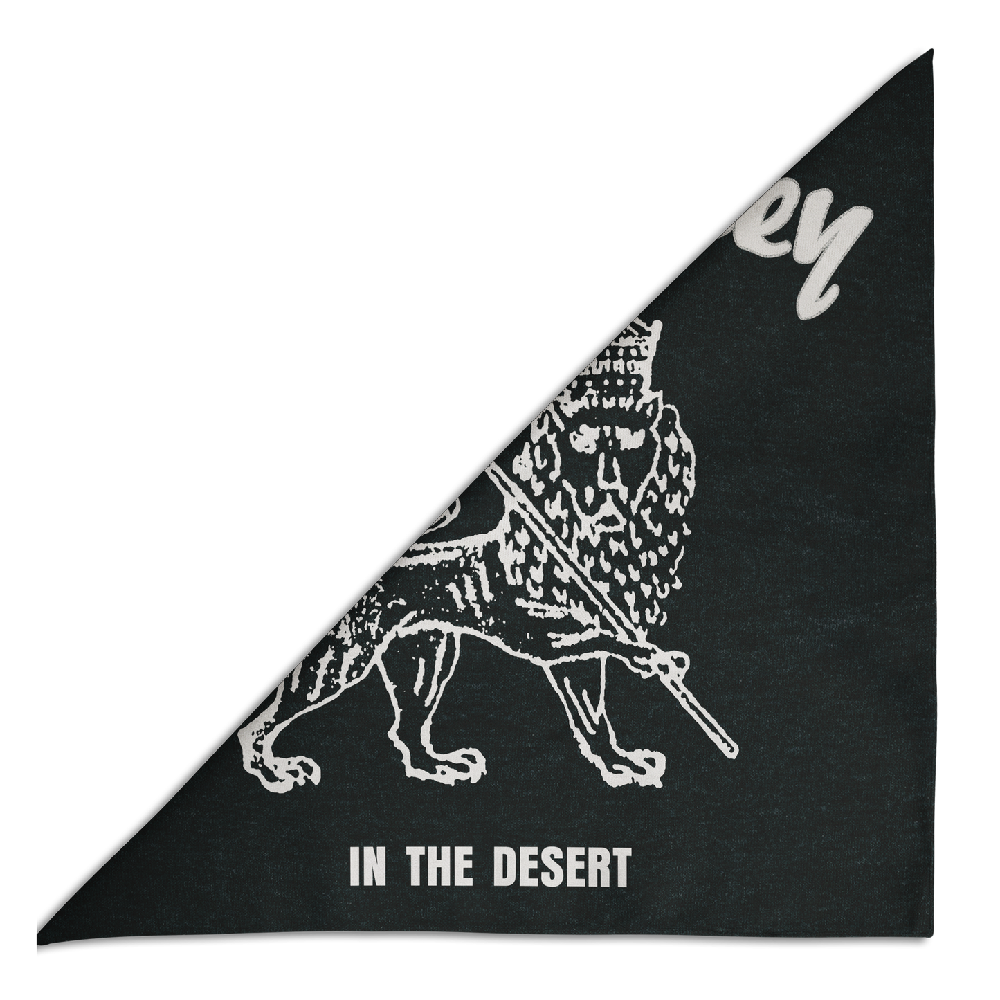 IN THE DESERT-RED STAR BANDANA